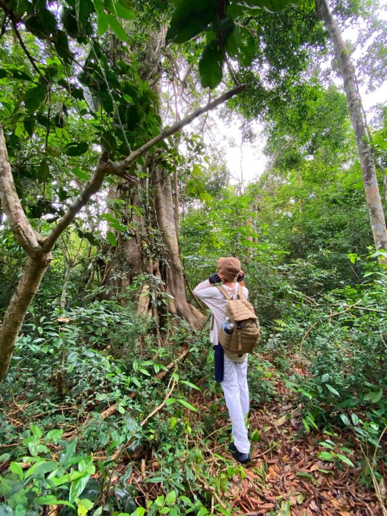 đường đi lên đỉnh tầm bồ