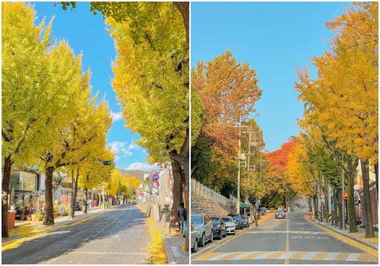 5 sức cuốn tham quan mùa thu Hàn Quốc