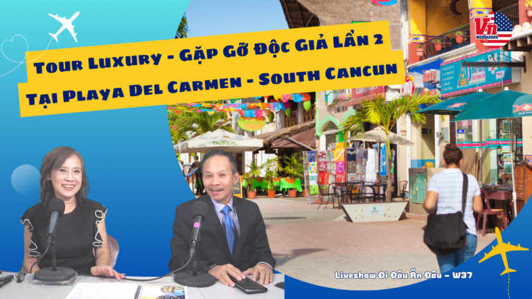Tour luxury - Gặp Gỡ Độc Giả Lần 2 Tại Playa Del Carmen, South Cancun