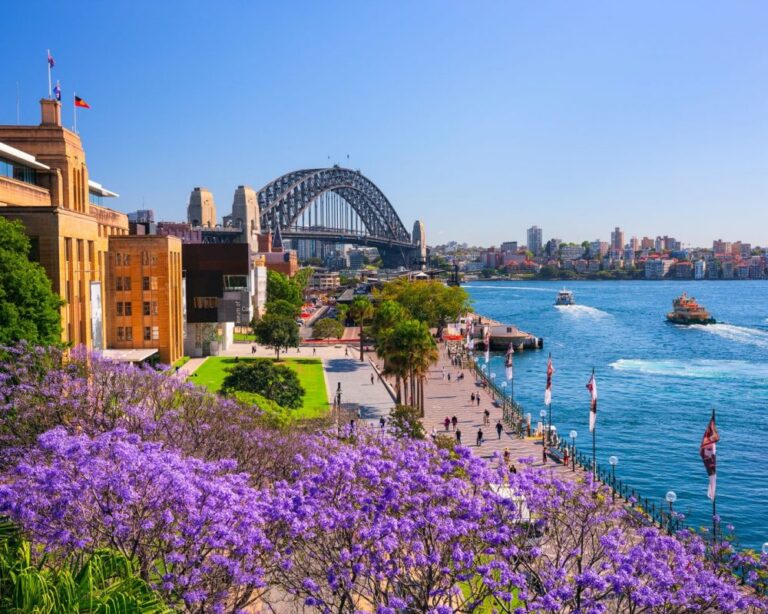 Mùa phượng tím sydney