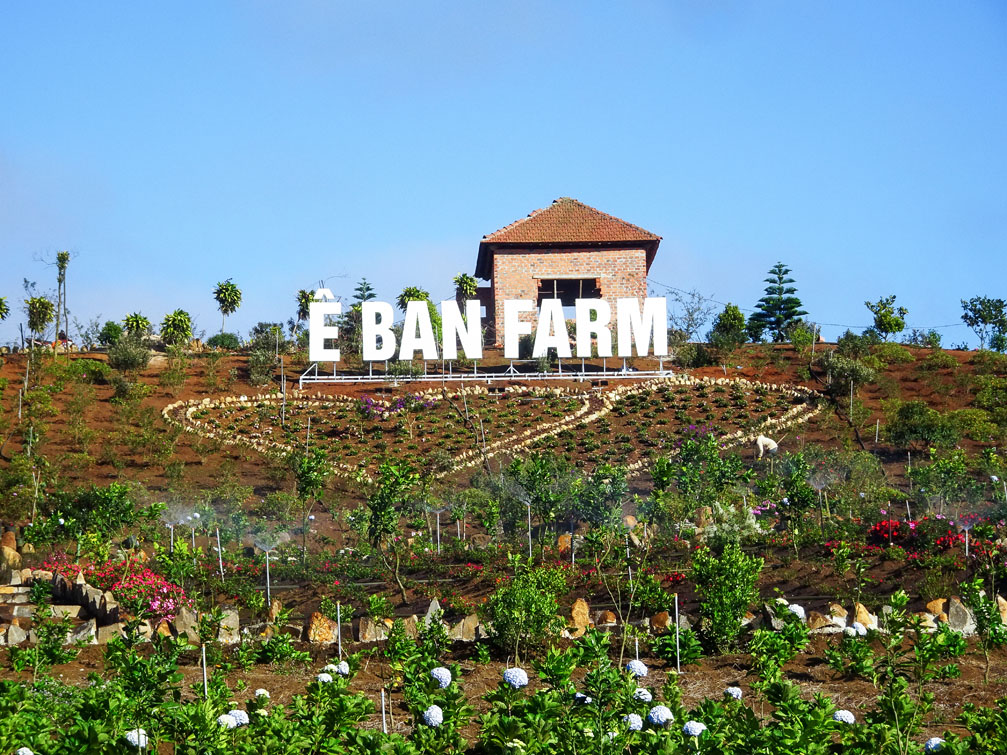 Ê Ban Farm