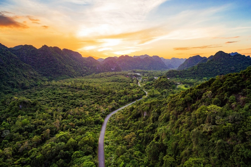 khu rừng trên biển