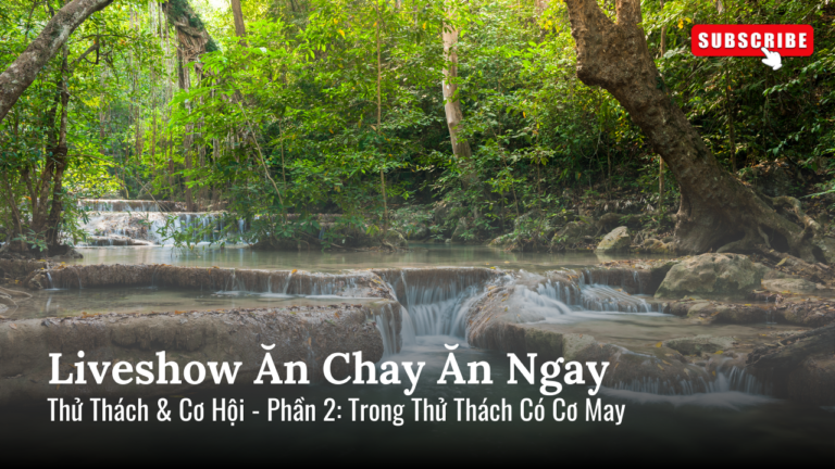 (Phần 2) Trong Thử Thách Có Cơ May - Thử Thách và Cơ Hội